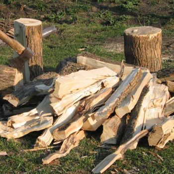 Brennholz